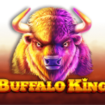 Buffalo King