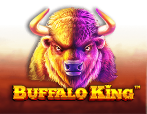 Buffalo King